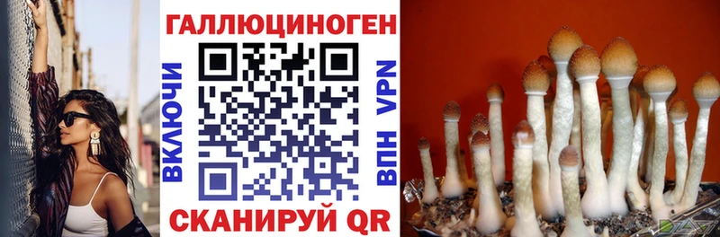 ОМГ ОМГ   Корсаков  Галлюциногенные грибы мухоморы 